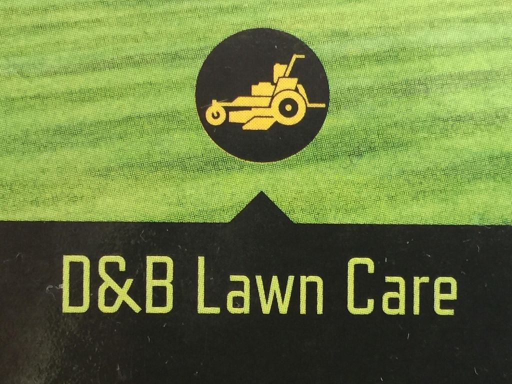 D&B services