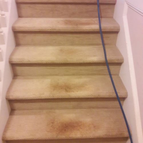 stair cleaning before pic