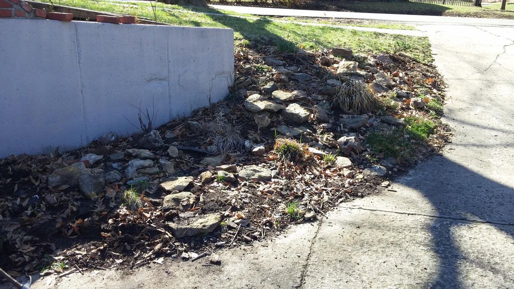 Before tan retaining wall 