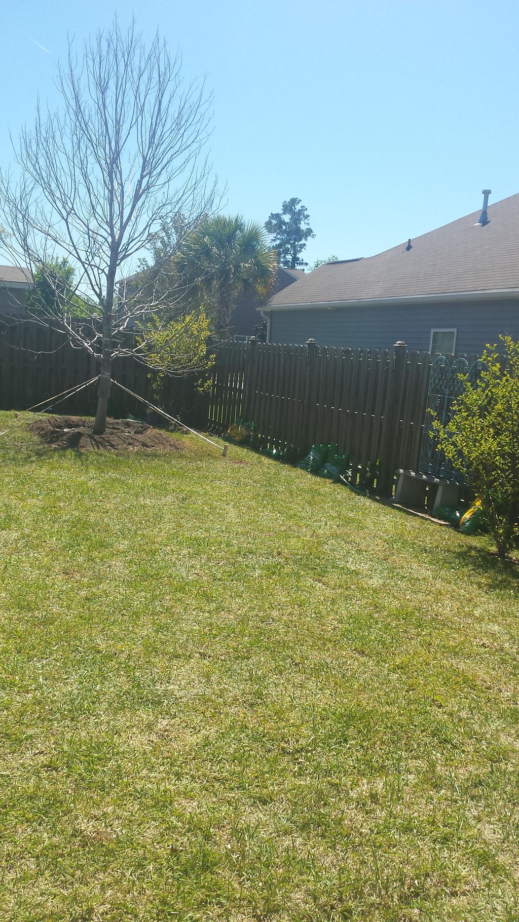 IN this photo we installed grass and all new large