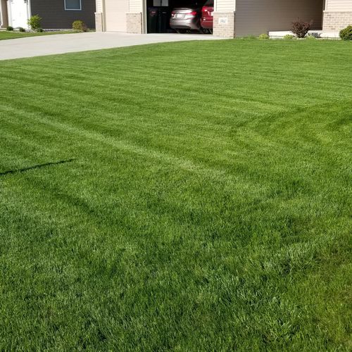 Brian Brisbane Lawn Care Green Bay, WI Thumbtack