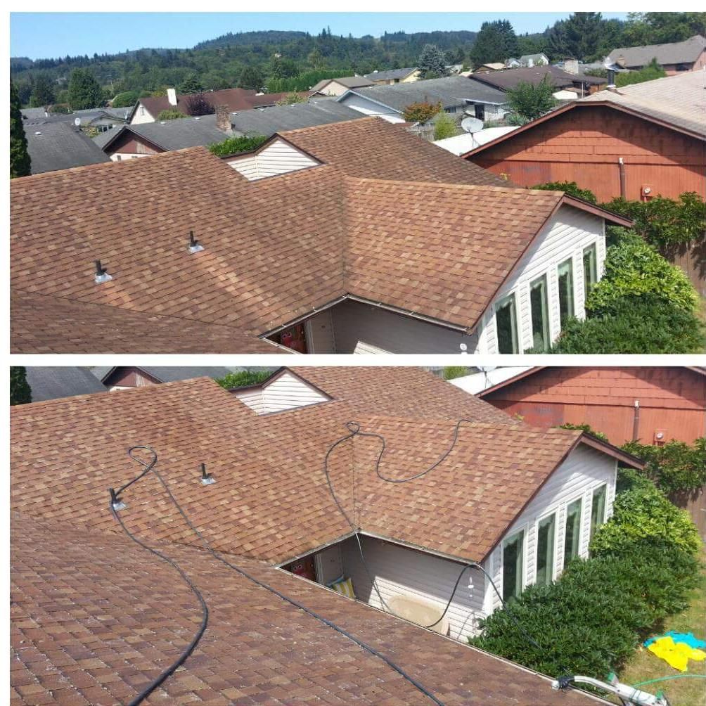 Complete Roof Cleaning