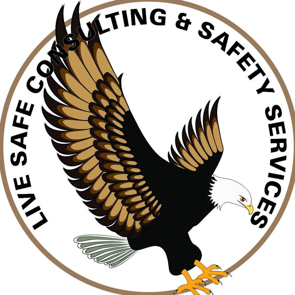 Live safe consulting and safety services llc