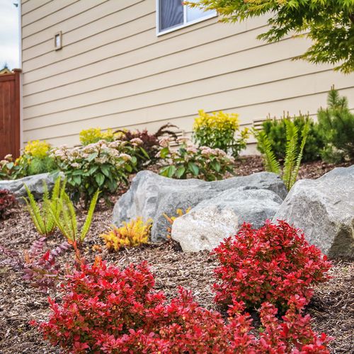 Landscaping with decorative rocks and plants