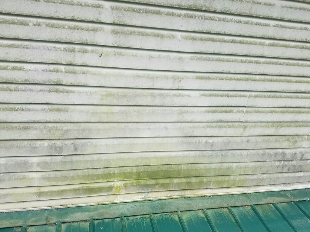 Mold on siding 