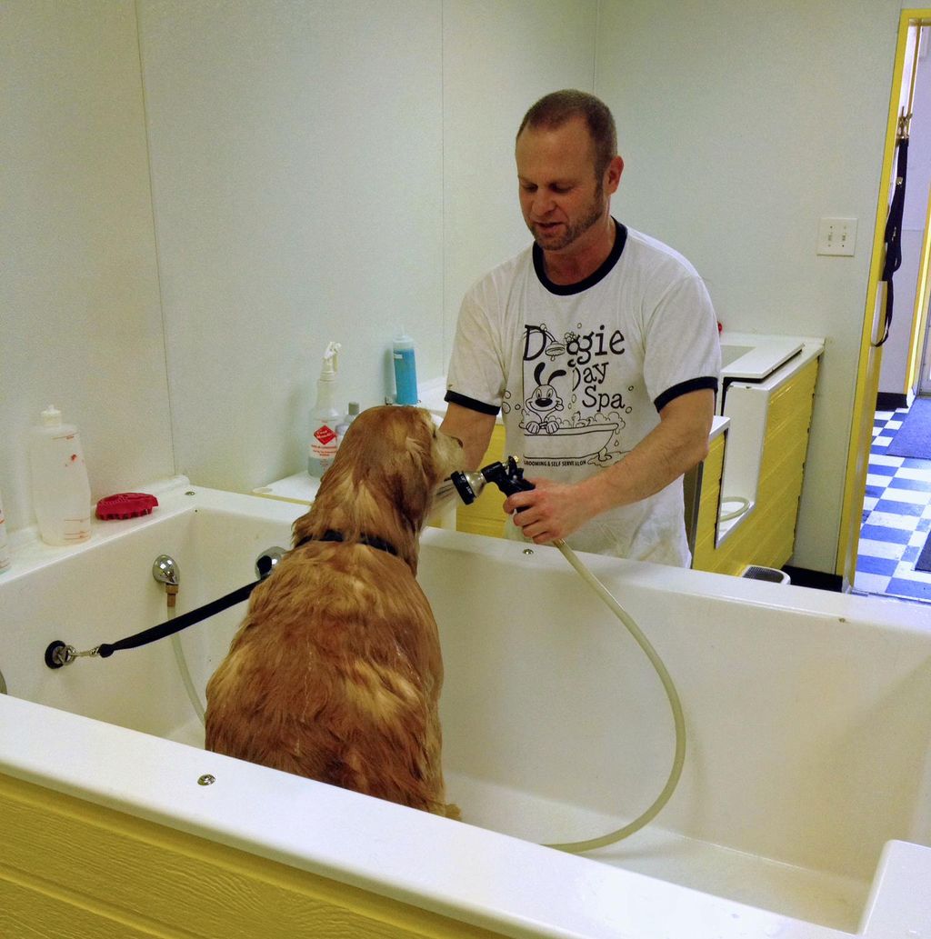 We do profressional grooms, deluxe baths, nail tri