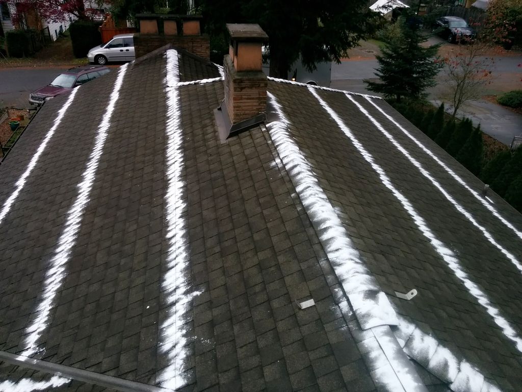after roof and gutters cleaning we apply moss cont