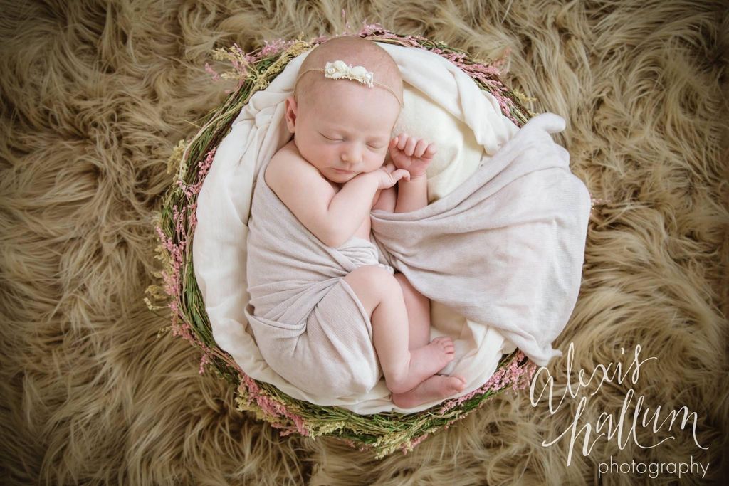 Alexis Hallum Photography