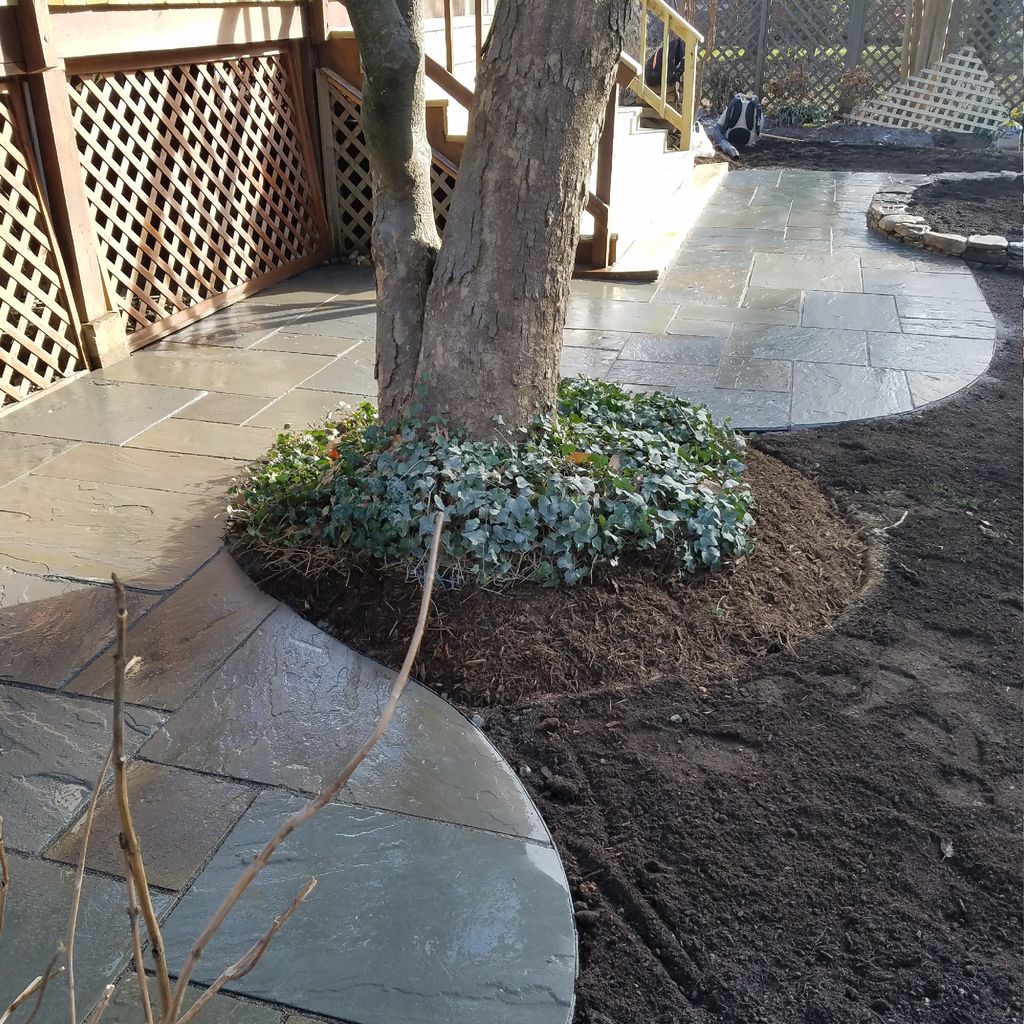 DeLeon Landscaping, Home Services and Irrigation