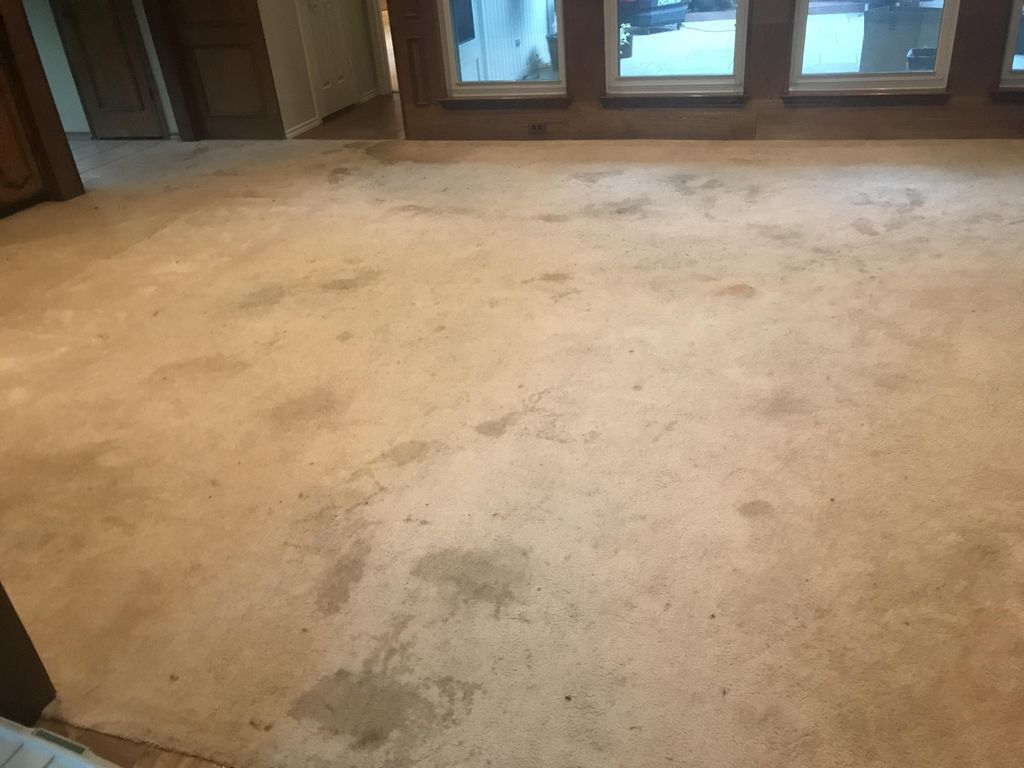 Owner thought they would have to replace this room