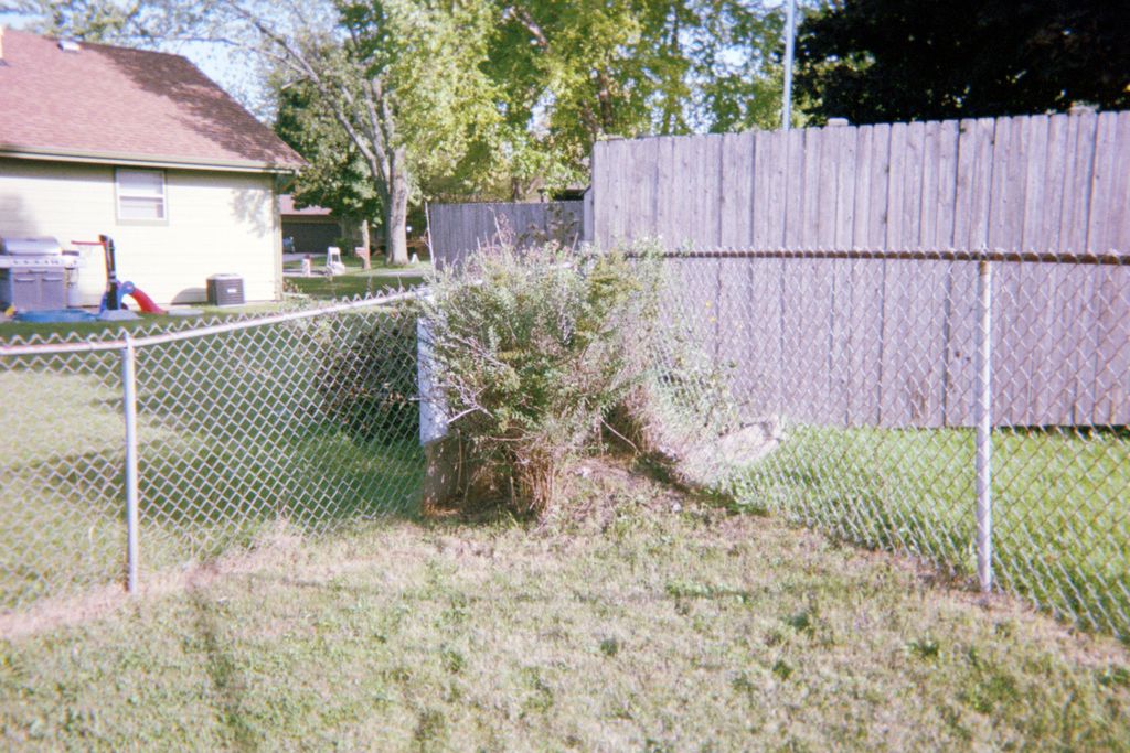 This bush was an eye sore and did nothing for the 