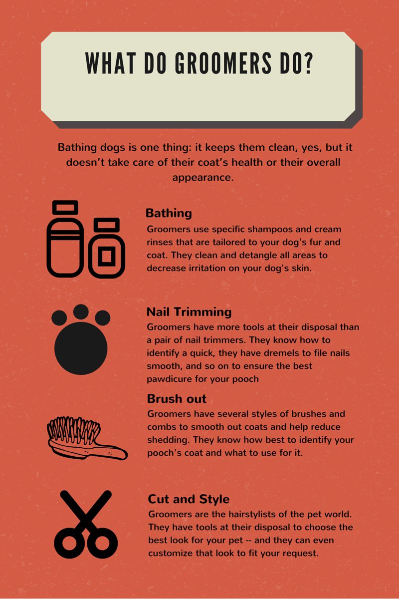 Blog Graphic - Informative