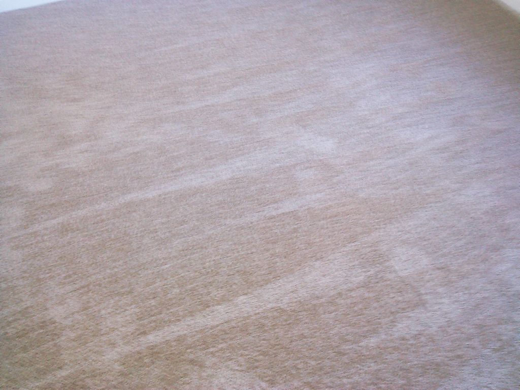Carpet