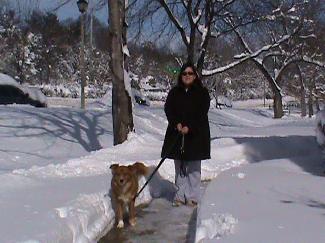 Snowmageddon 2010