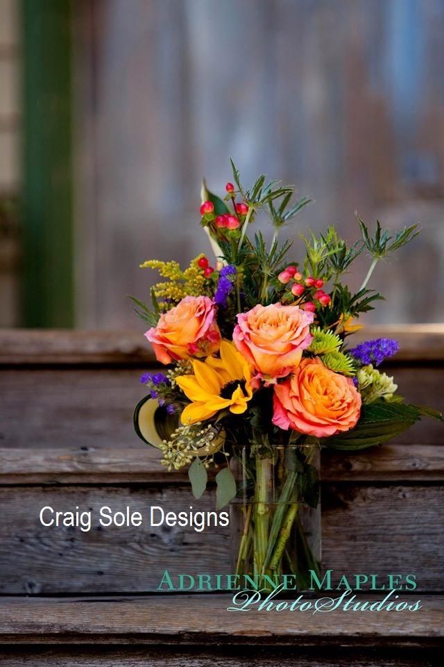 Craig Sole Designs