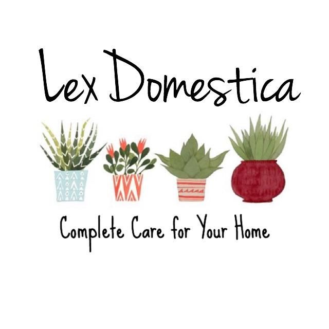 Lex Domestica
