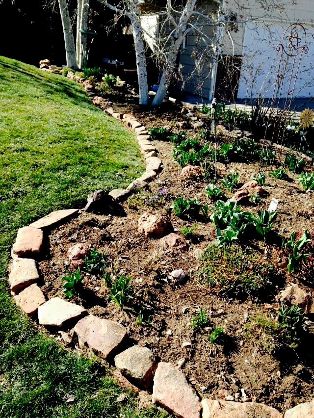 Rock edging in my yard