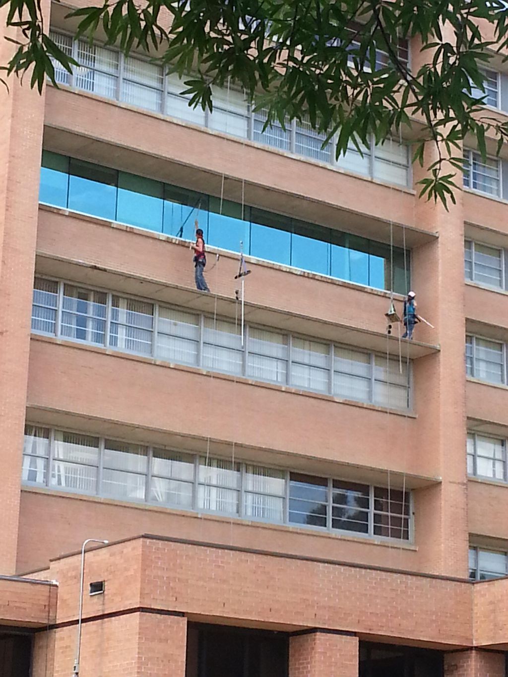 Commercial High Rise Window Cleaning