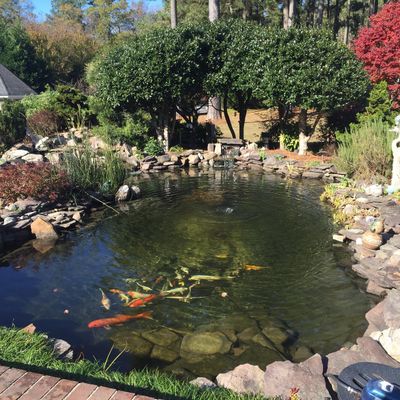 Avatar for Aquatic Gardens Custom Pond Design & Installation