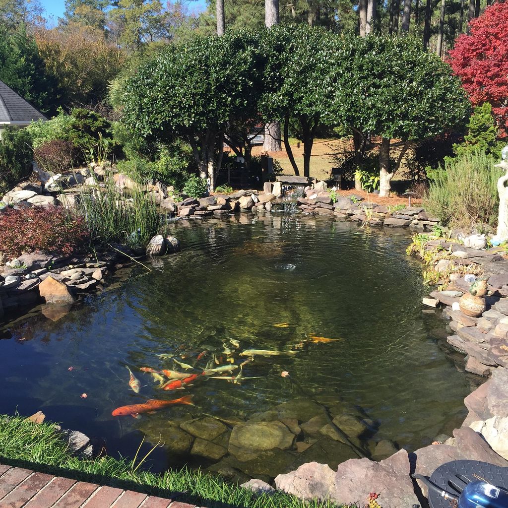 Aquatic Gardens Custom Pond Design & Installation