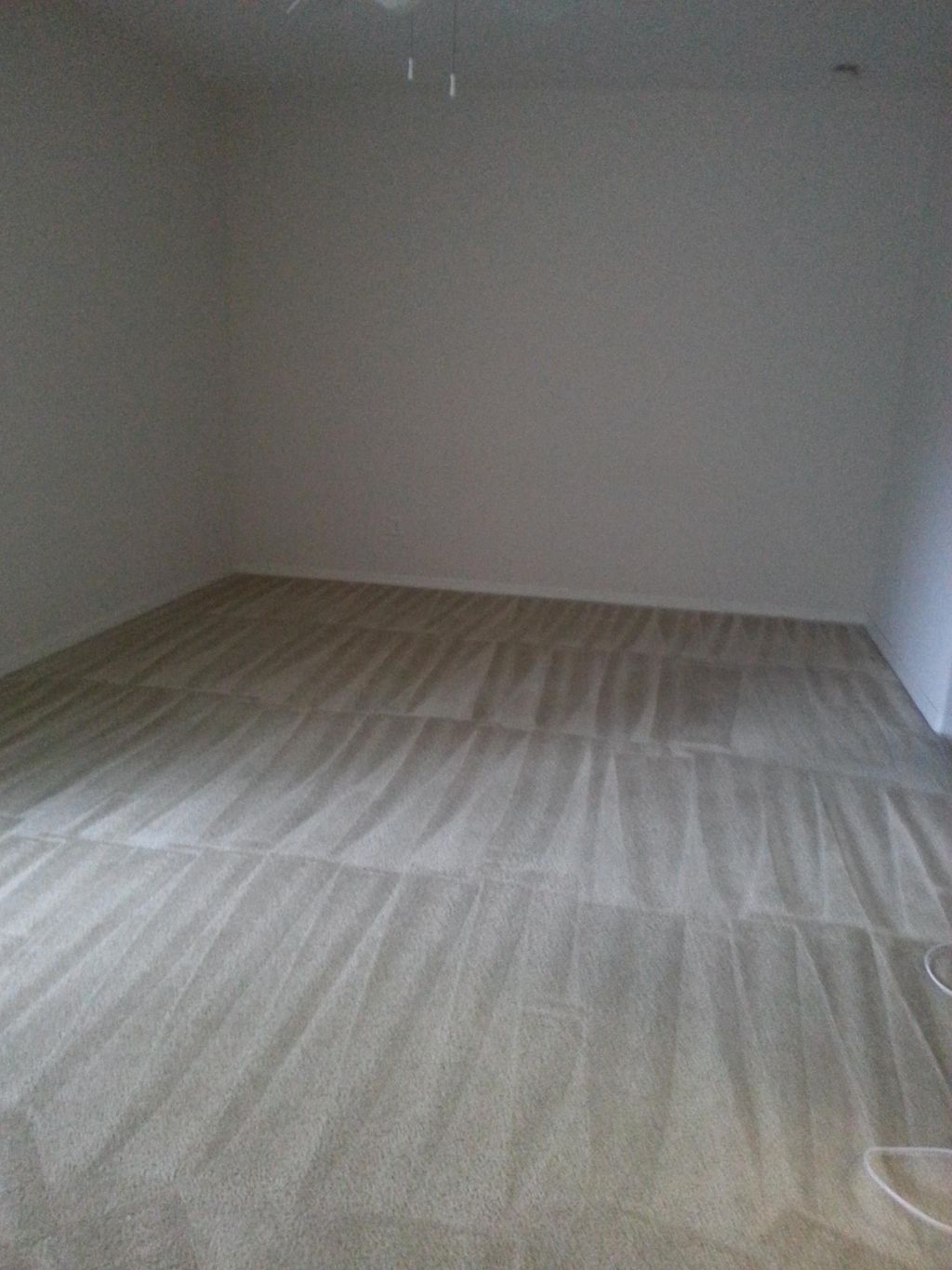 Carpets left Clean and Groomed