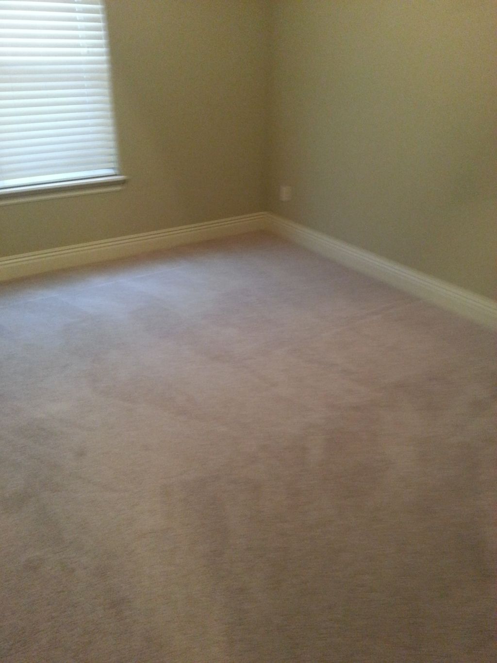 Carpet Install