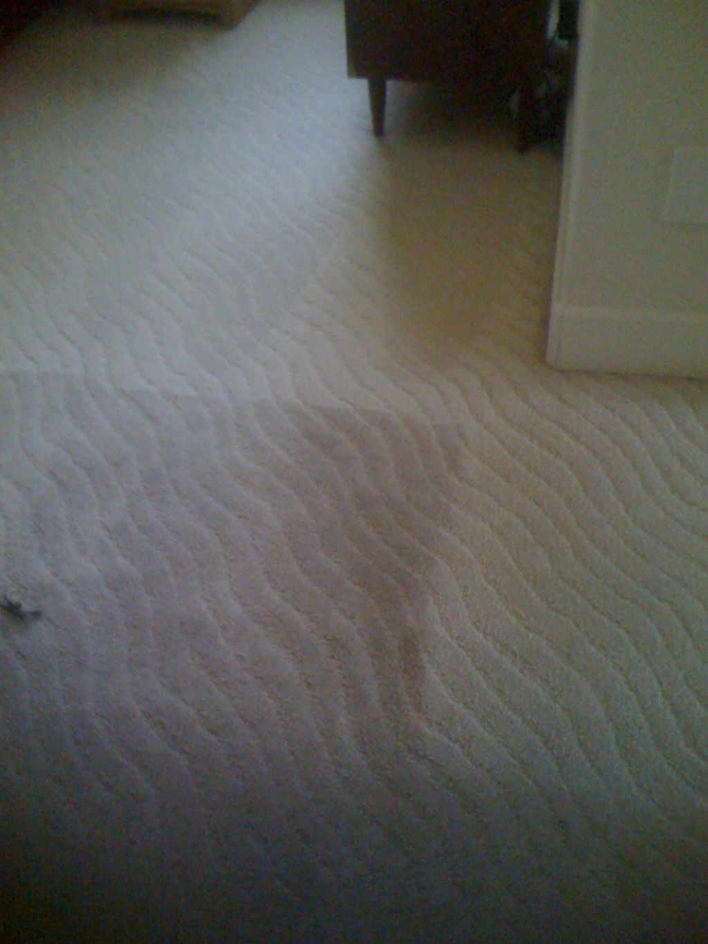 Carpet Cleaning