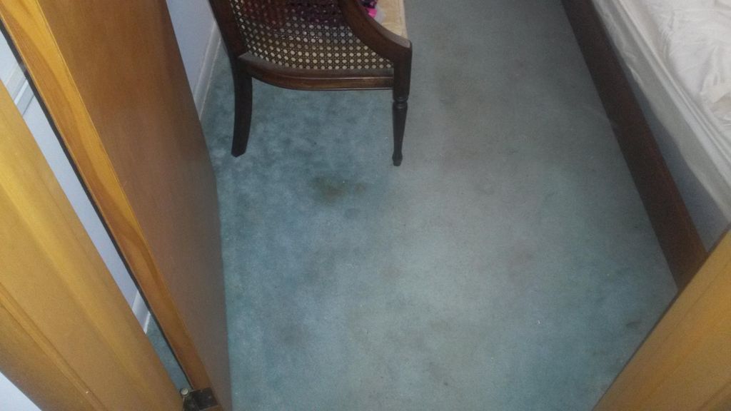 Before Carpet cleaning with muliple stains