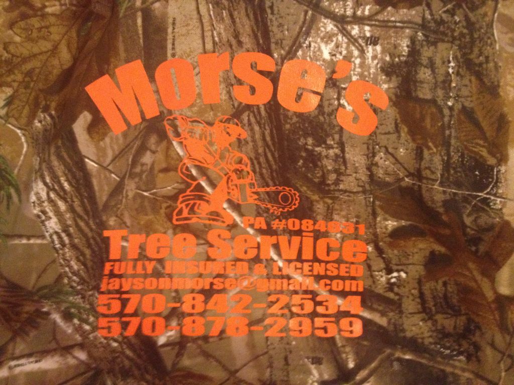 Morse's Tree Service