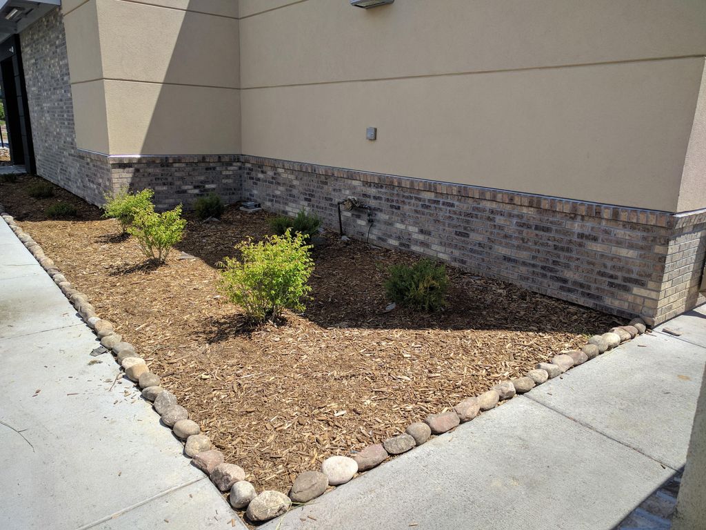 Shrub, mulch, and rock install