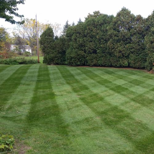 One of are fun lawns to mow.