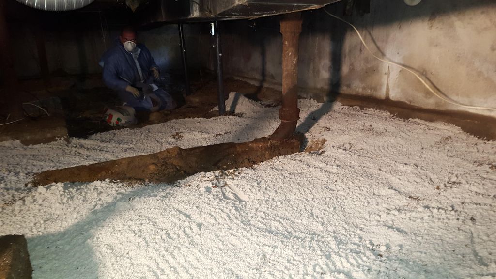 Cleaned Crawlspace