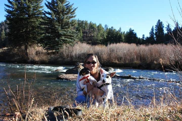 Me and my pups enjoying a hike in the Colorado Mou