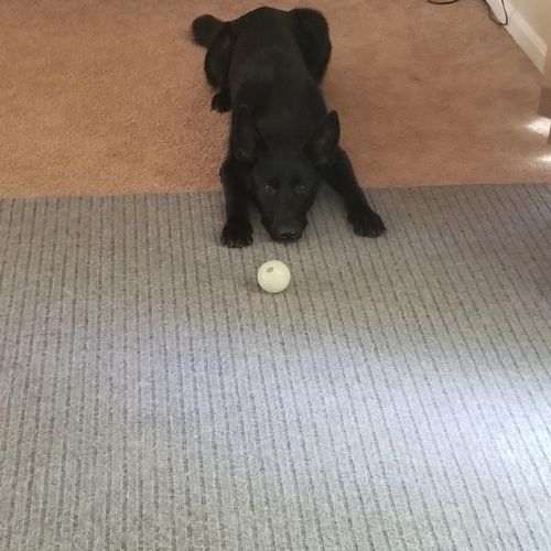 Patience with the ball
