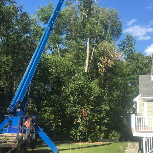 Residential Crane removal with low impact protecti