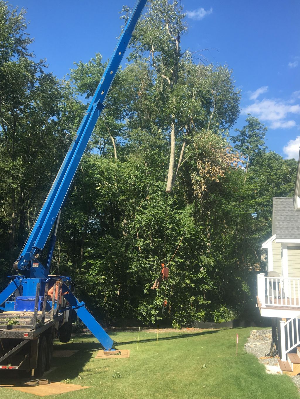 Residential Crane removal with low impact protecti