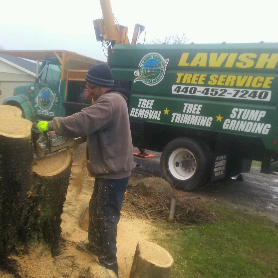 Lavish lawn care and Tree Service