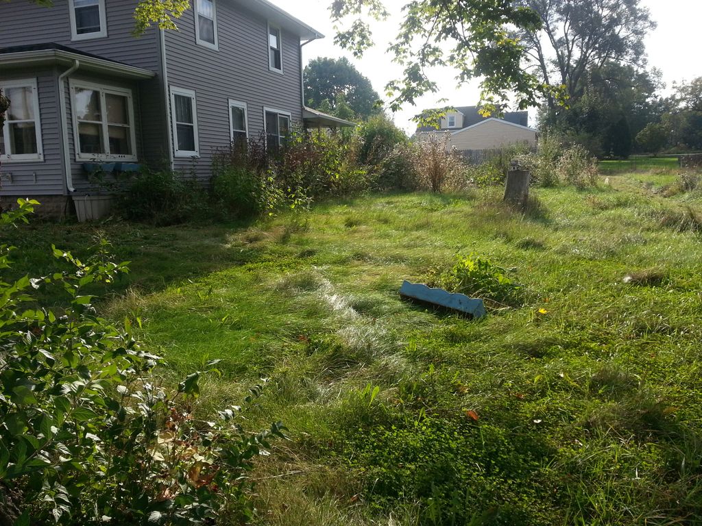 Before  picture of bush mowing job