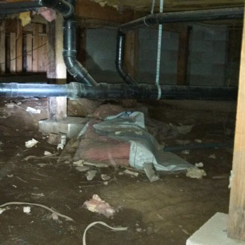 Crawlspace before cleanup and remediation