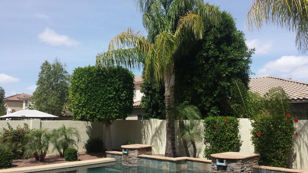 Here is an example of our *Back yard Bi-Weekly Mai