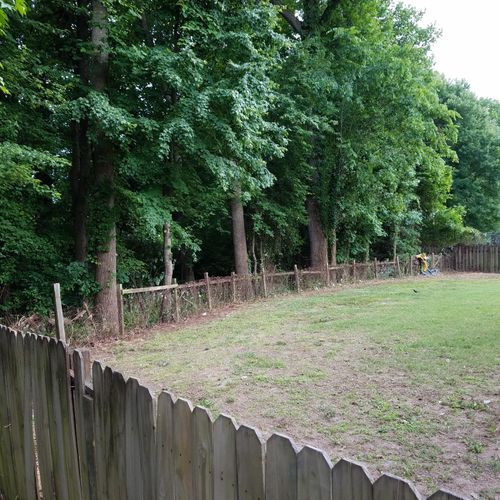 after fence clean (2 of 2)