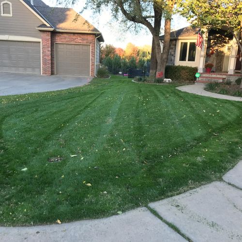 Awesome GREEN LAWN!