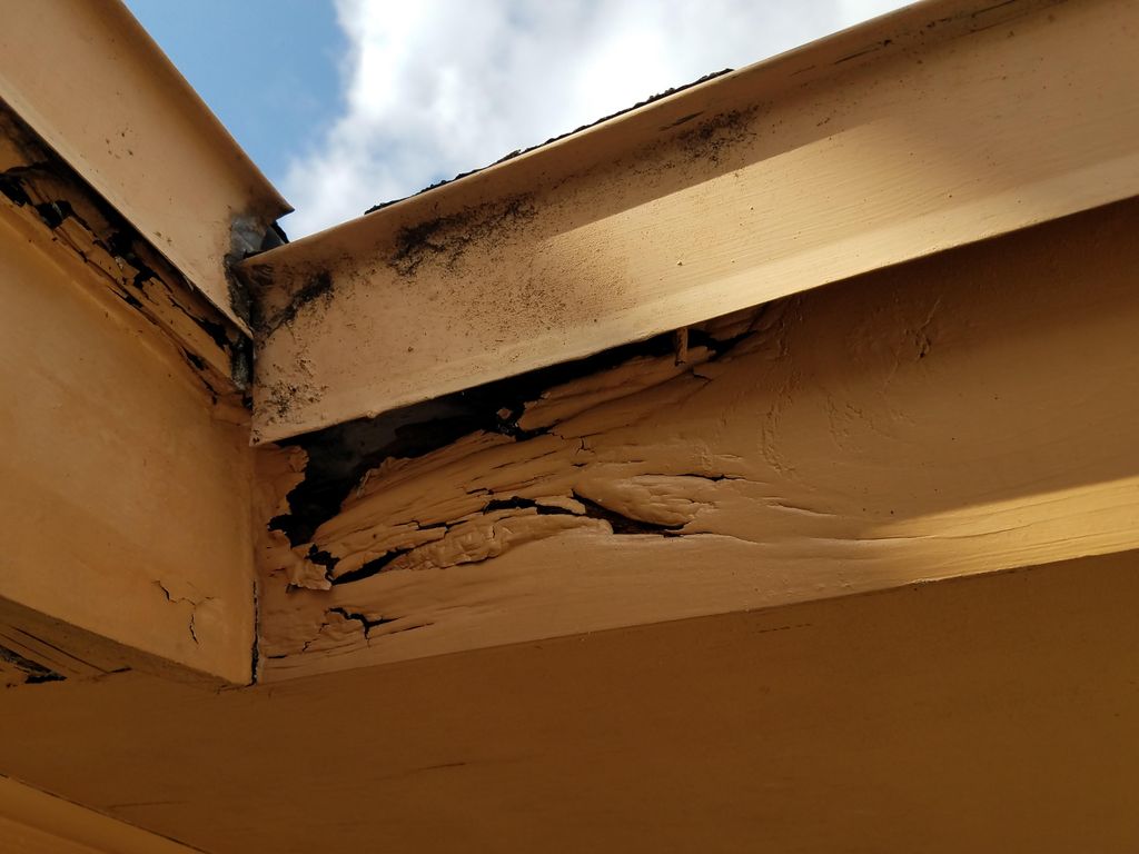 Fascia & Soffit Rot Damage