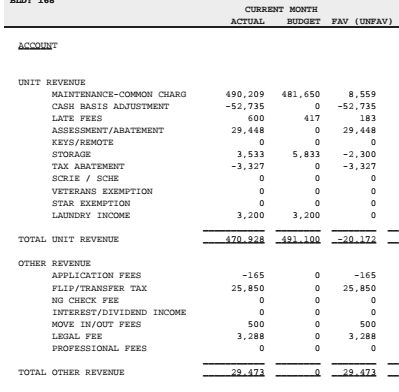 Income statement in cash/tax basis for small busin