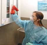 Terminal Cleaning