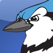 pro avatar