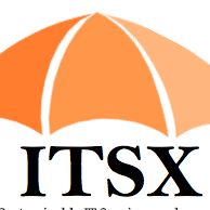 ITSX Business Consulting Services