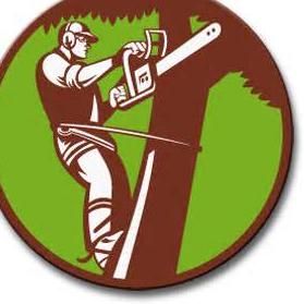 Avatar for Franklin & Son Tree And Lawn Services