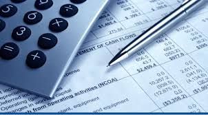 Experience with cash flow, budget analysis, financ