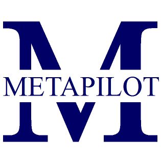 METAPILOT Search Engine Optimization